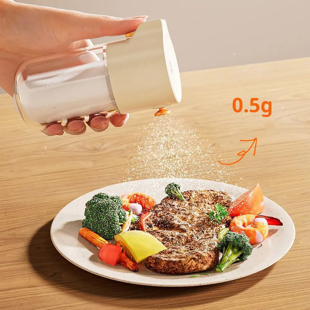 Precision Salt Dispenser